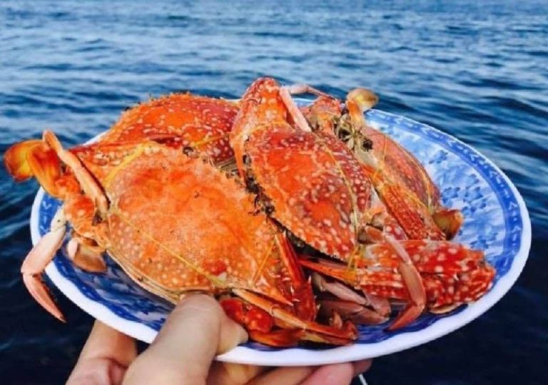 Bạch Tuộc Phú Quốc — Đặc Sản Biển Giòn Ngọt Không Thể Bỏ Lỡ 10 ghe phu quoc